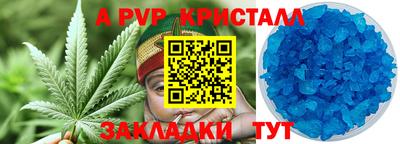 шишки Кинель