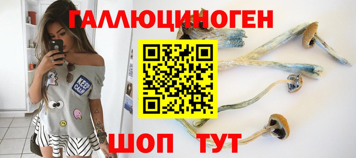 Псилоцибиновые грибы прущие грибы  Вход с VPN  что такое наркотик  Кропоткин 